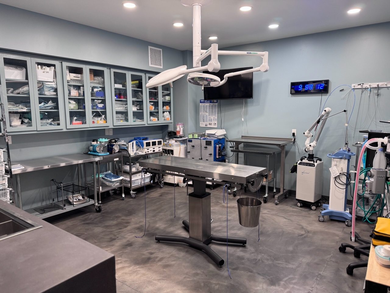surgery area at urgent pet care