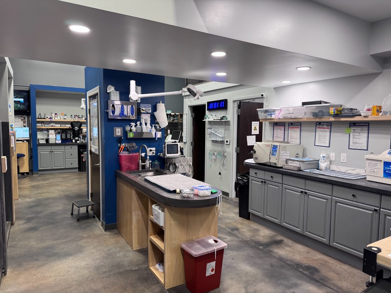 treatment area at urgent pet care