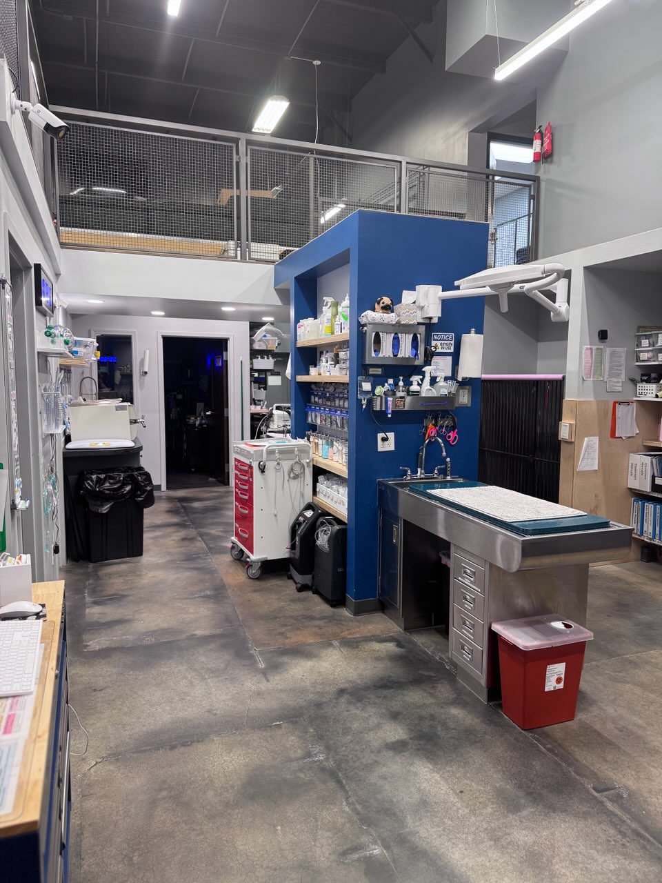 treatment area at urgent pet care