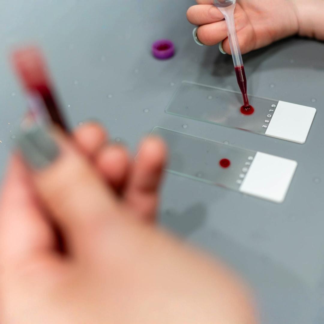veterinarian checking a pets blood type
